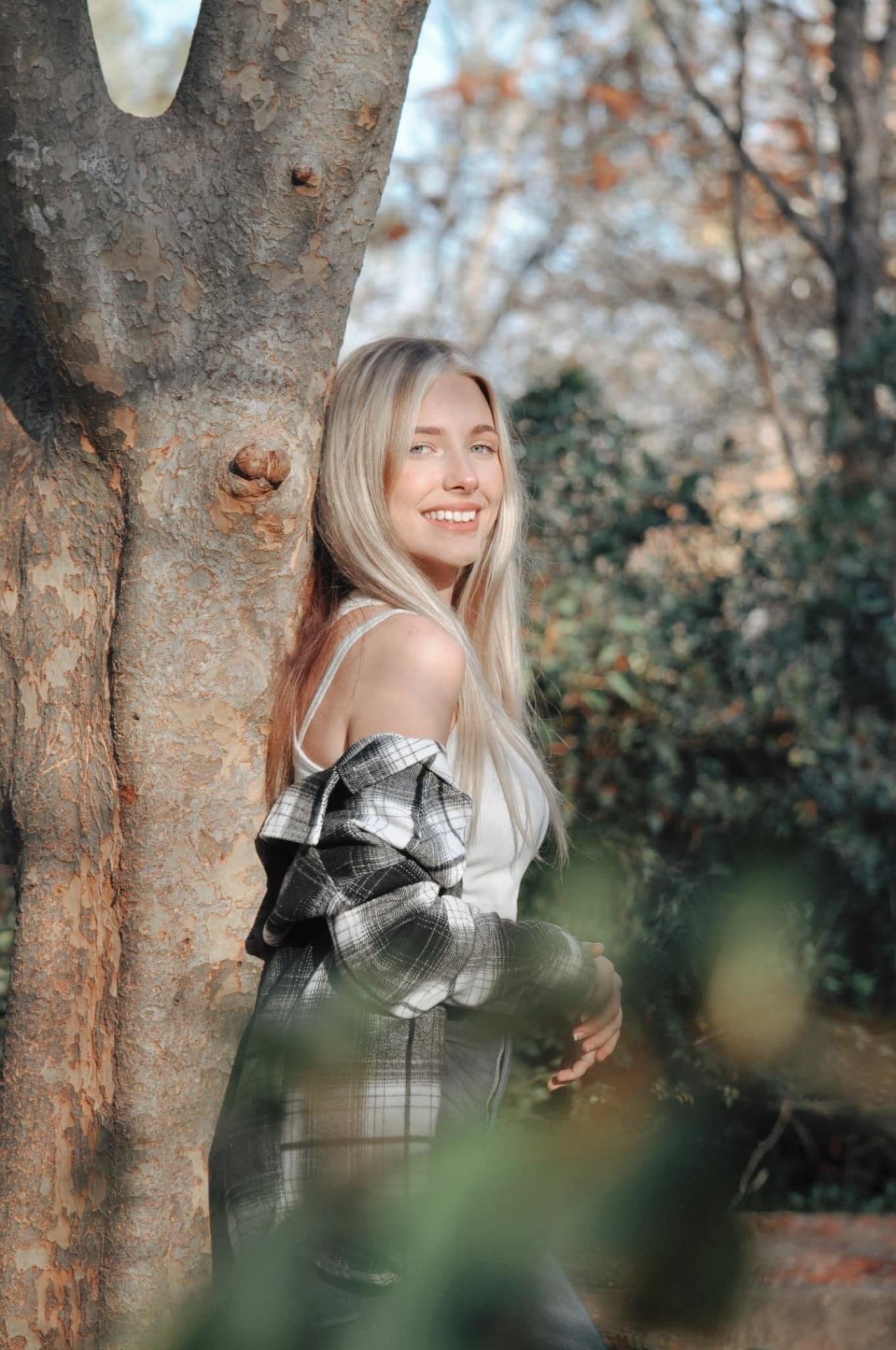 carousel-hero-element image-2