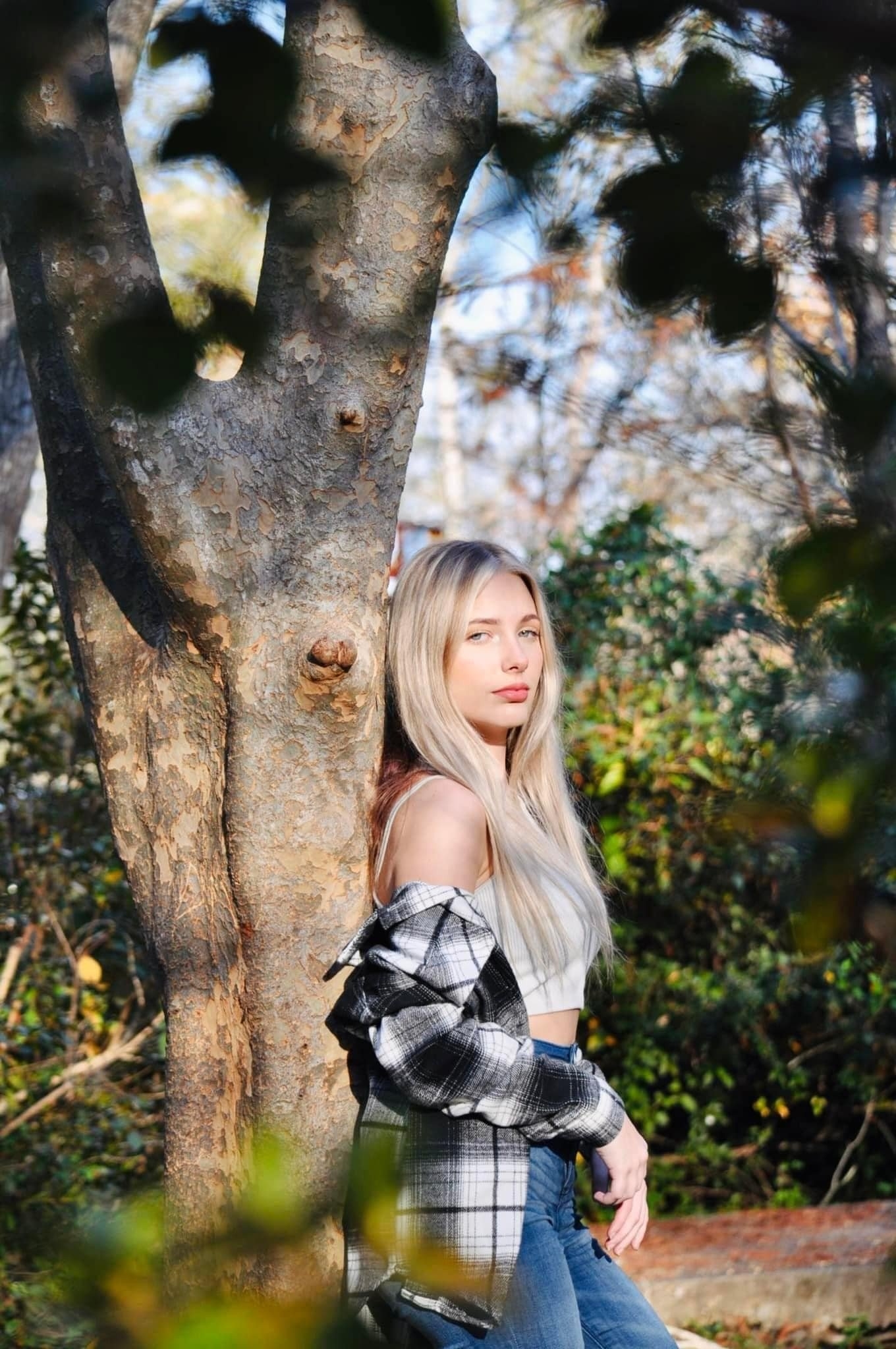 carousel-hero-element image-0